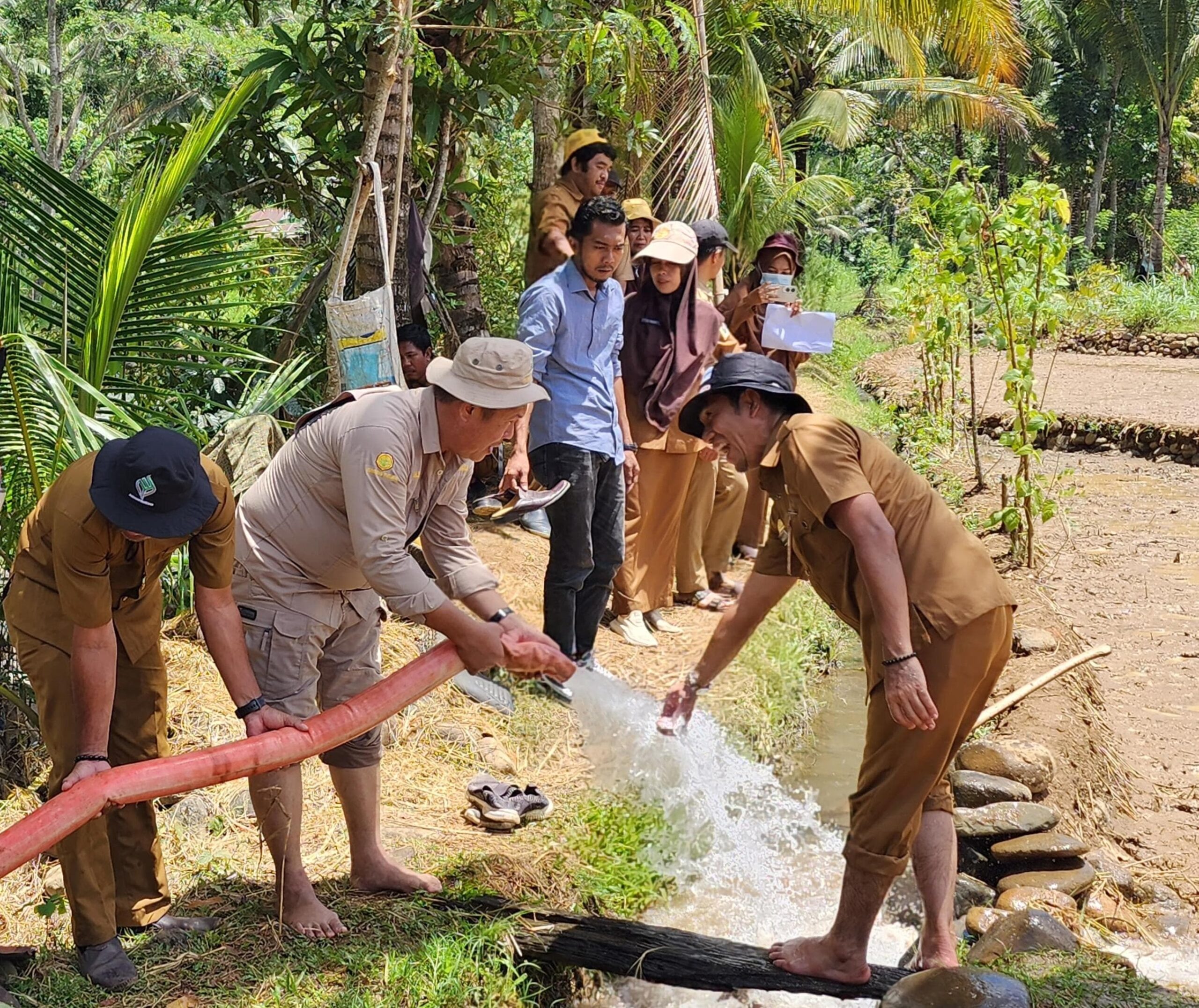 Program Pompanisasi